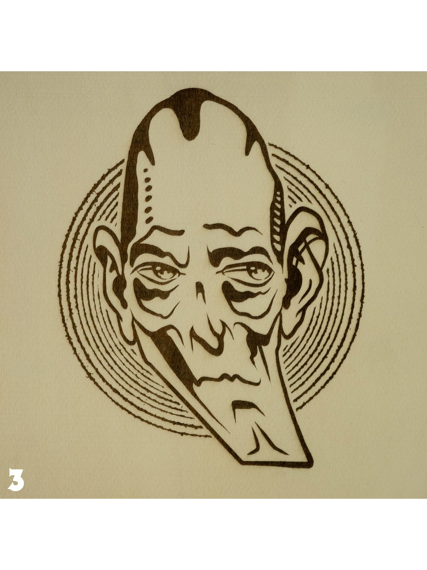 LASER ENGRAVED WOOD PANEL