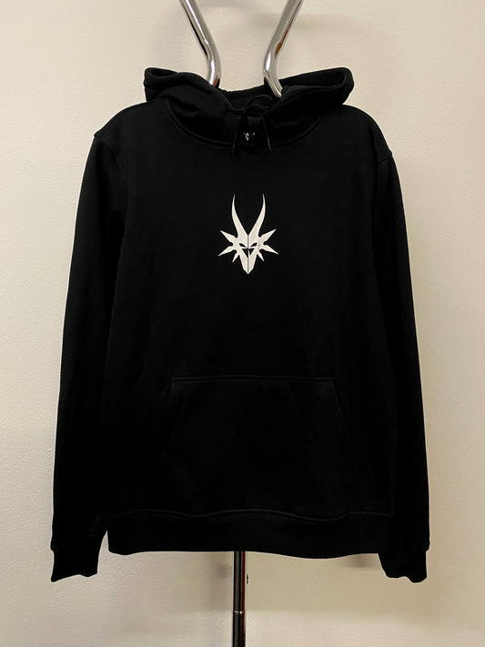 FULL SPECTRUM LOGO HOODIE