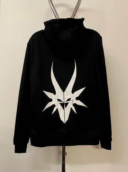 FULL SPECTRUM LOGO HOODIE